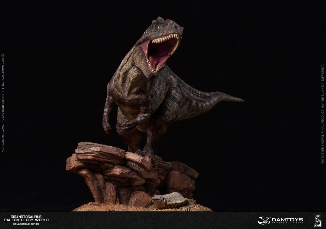 Museum Collection Series - Giganotosaurus