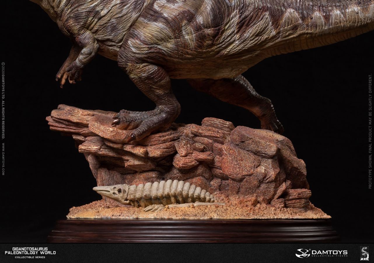 Museum Collection Series - Giganotosaurus