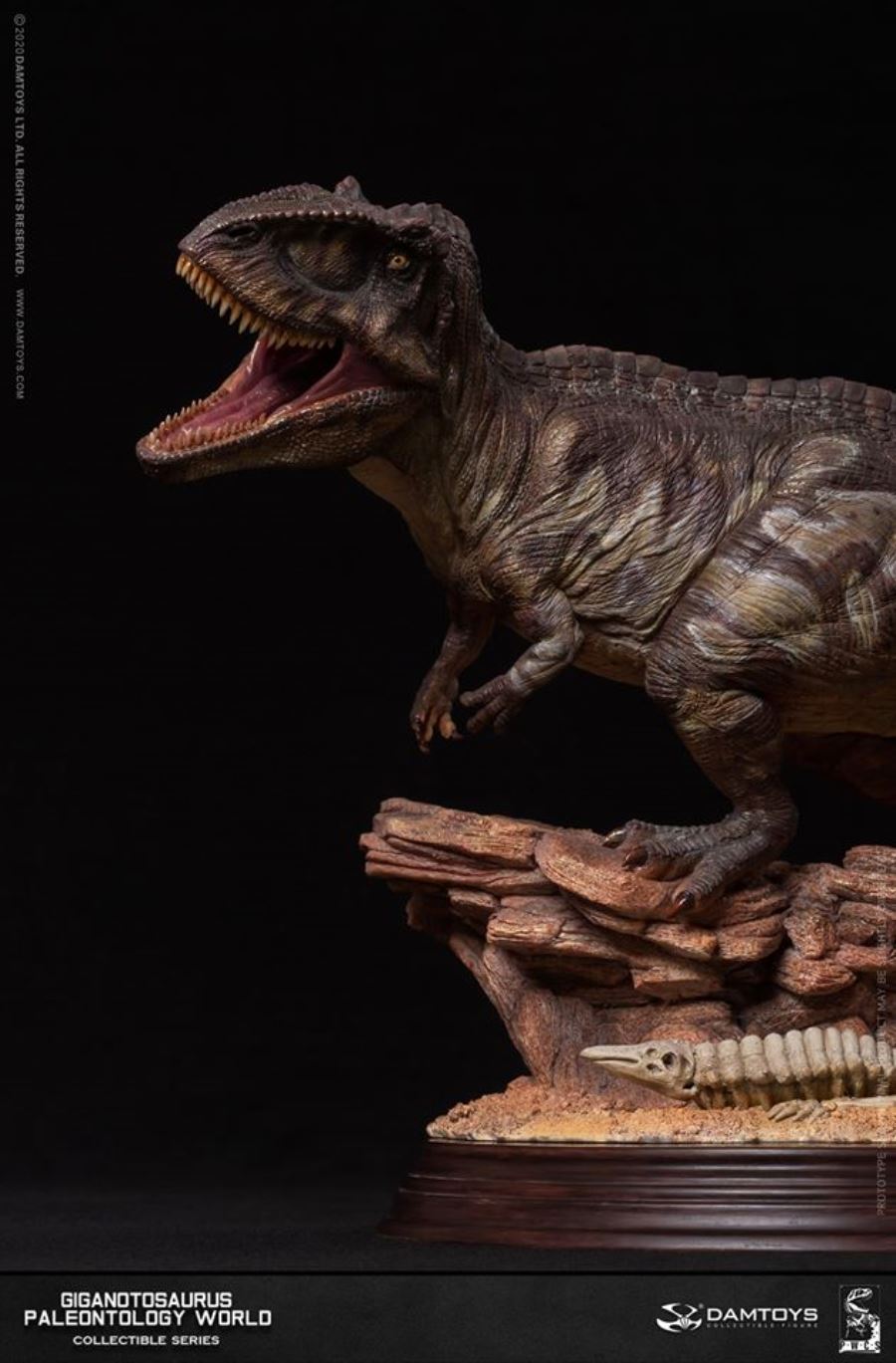 Museum Collection Series - Giganotosaurus