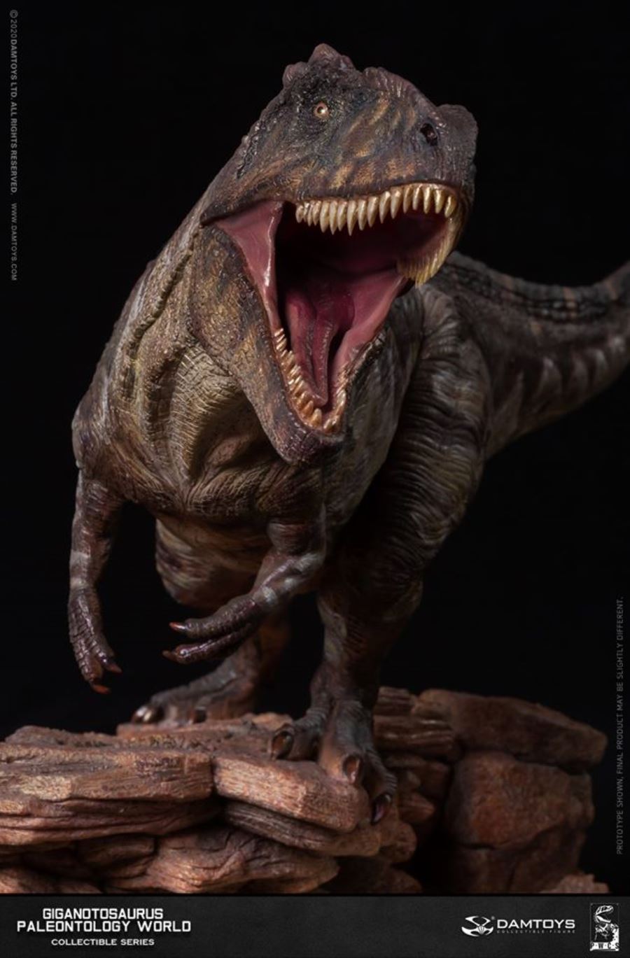 Museum Collection Series - Giganotosaurus