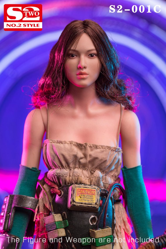 1/6 Asian Beauty Head