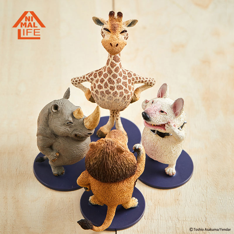 ANIMAL LIFE Chubby Series Strike a Pose Vol.2 6Pack BOX