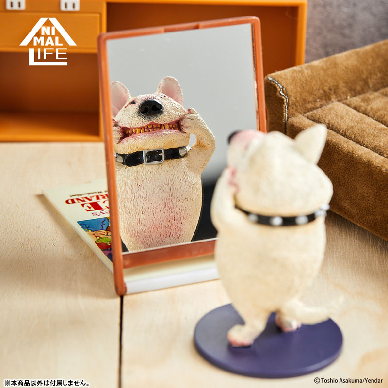ANIMAL LIFE Chubby Series Strike a Pose Vol.2 6Pack BOX