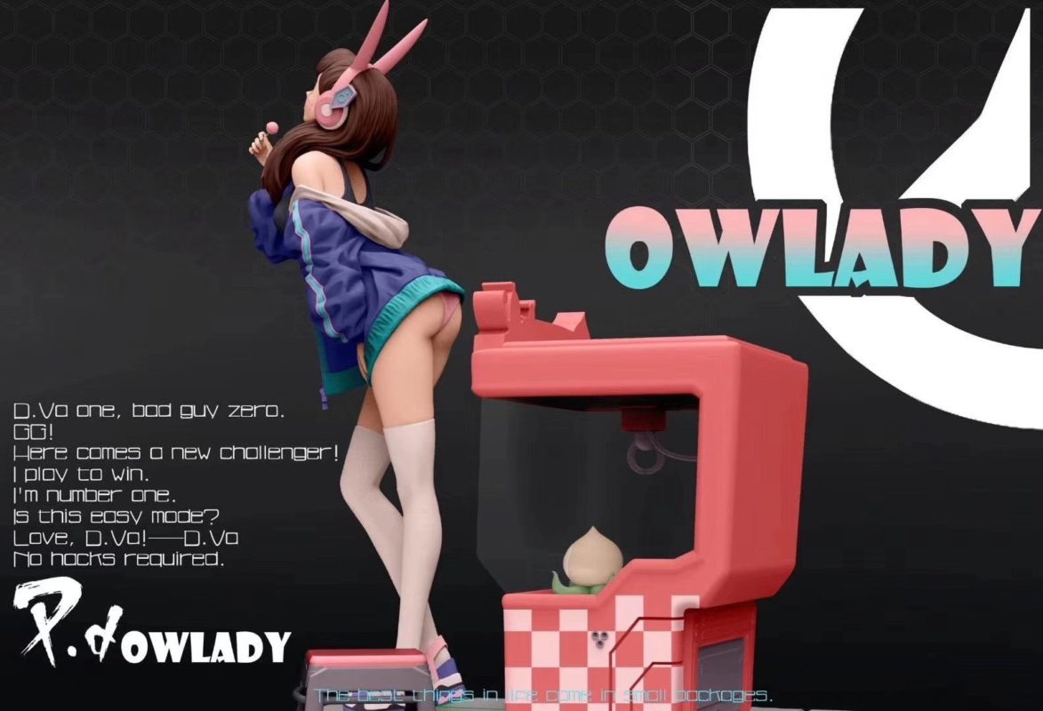 Overwatch DVA