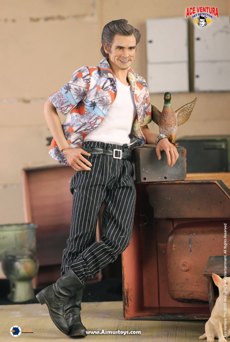 1/6 Ace Veyron/Detective Airplane Head - Pet Detective