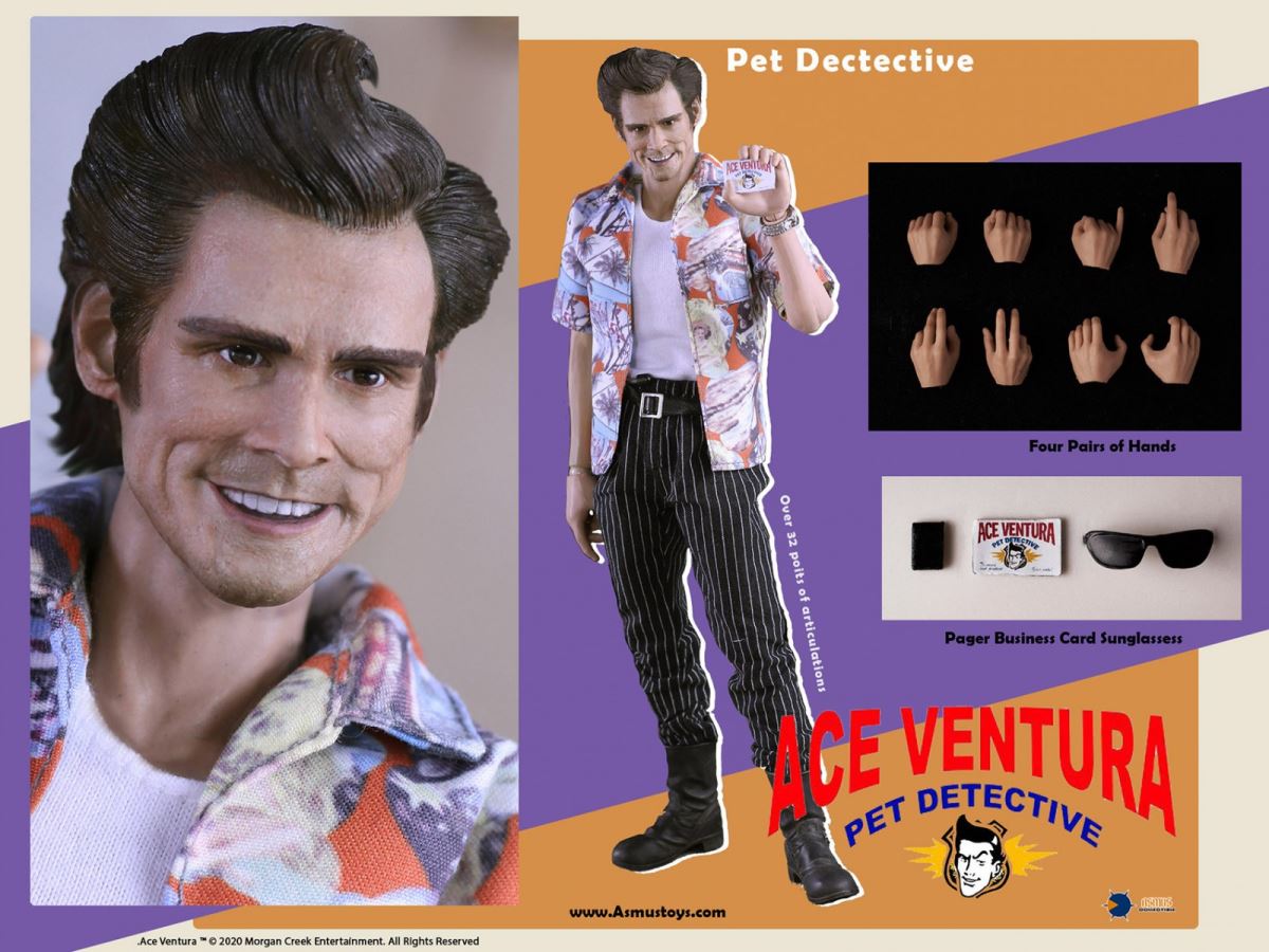 1/6 Ace Veyron/Detective Airplane Head - Pet Detective