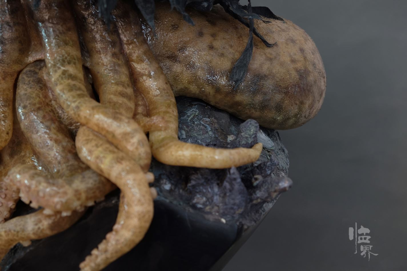 1:1 Silicone Bust Captain David Jones Octopus