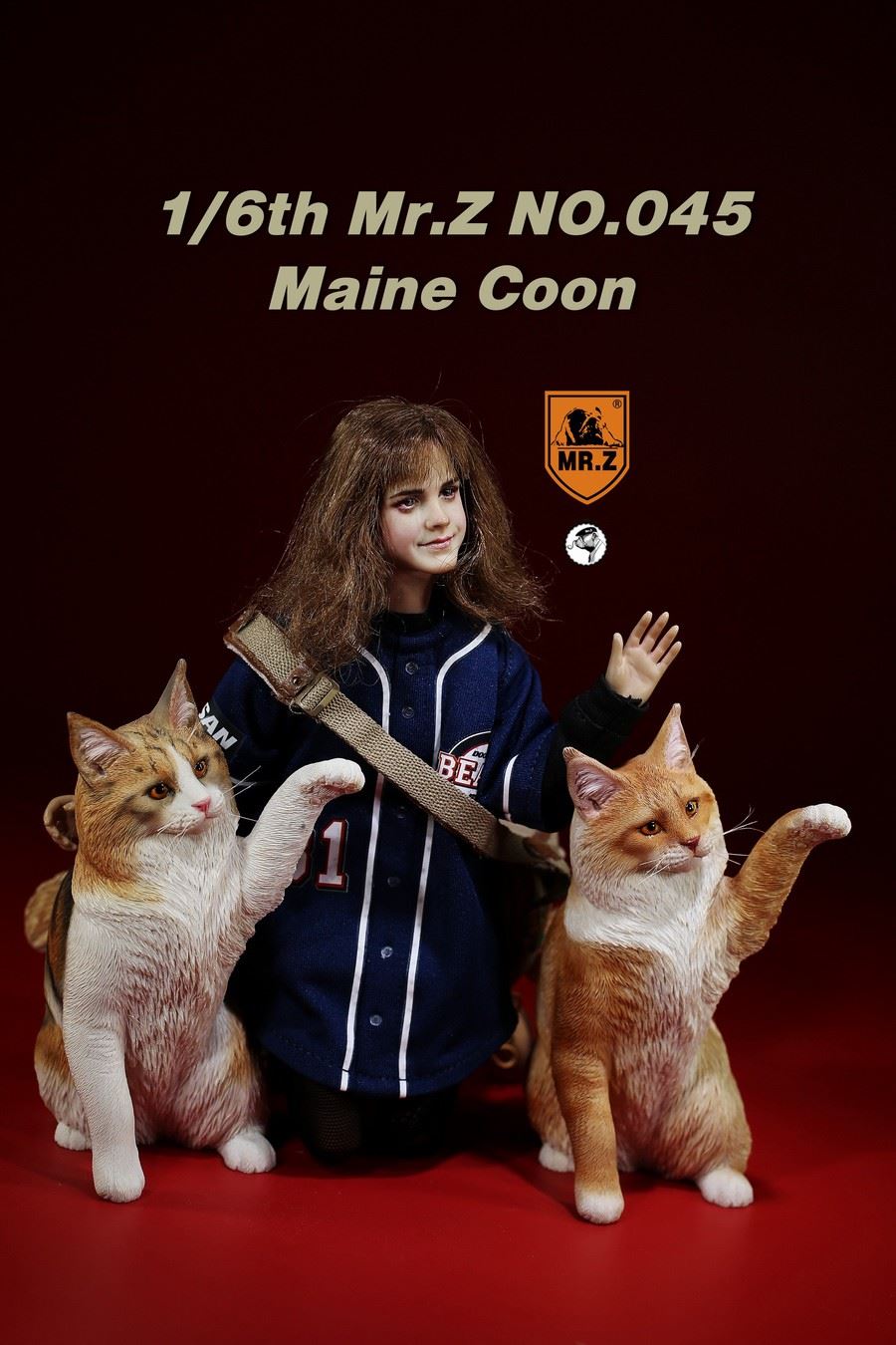 1/6th Mr.Z Maine Coon