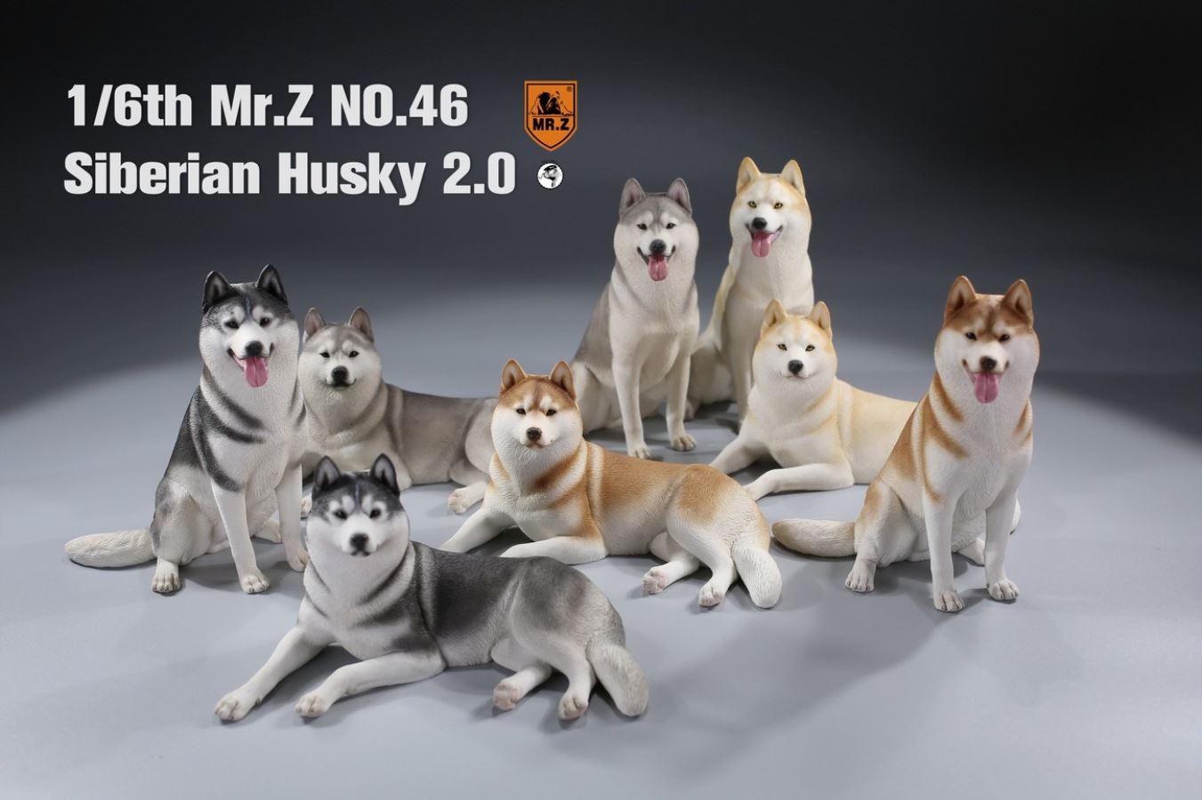 MR. Z Animal Model No.46: 1/6th Siberian Husky2.0