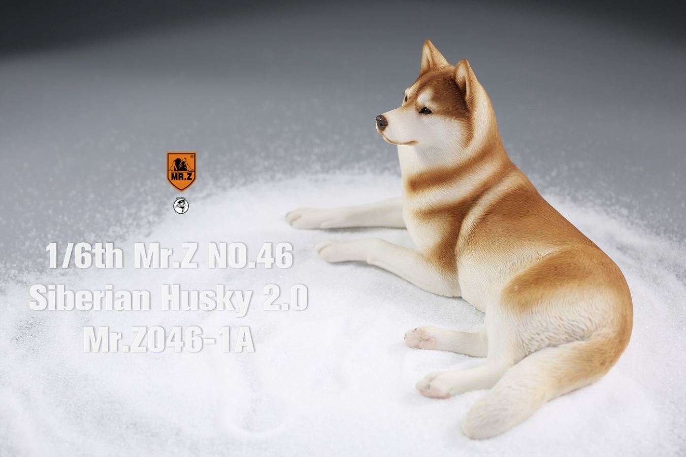 MR. Z Animal Model No.46: 1/6th Siberian Husky2.0