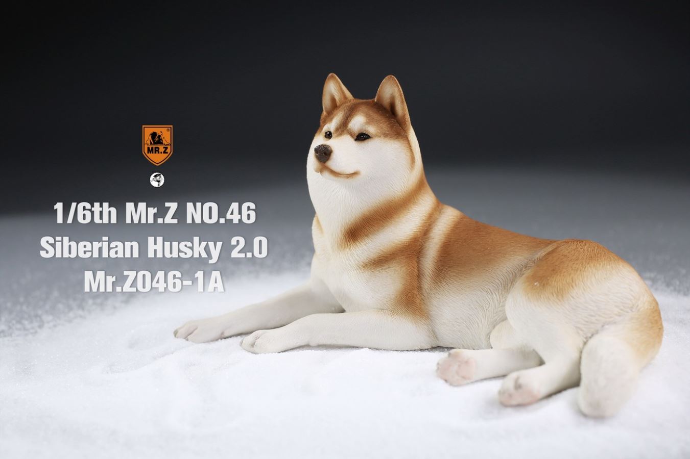 MR. Z Animal Model No.46: 1/6th Siberian Husky2.0