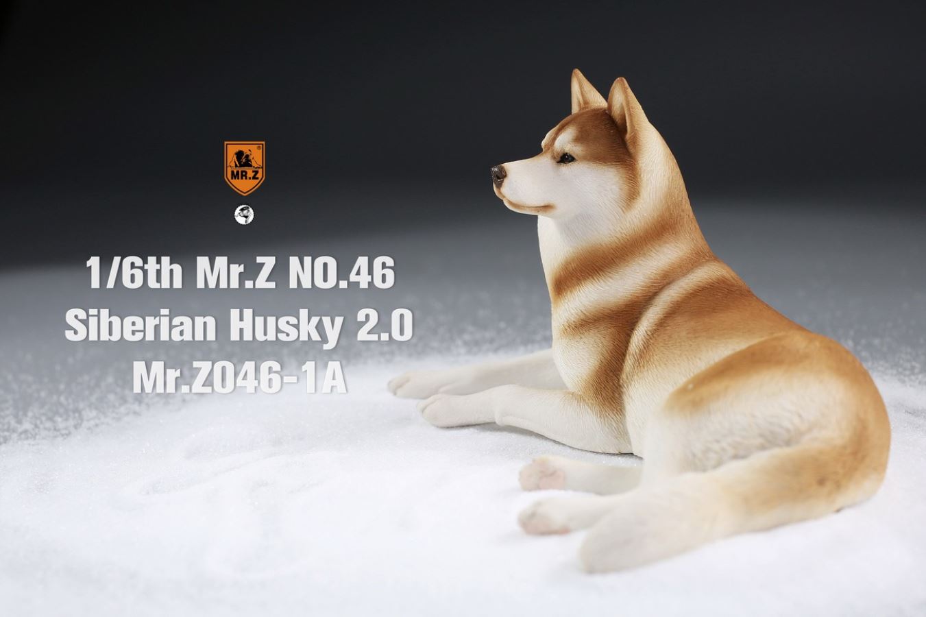MR. Z Animal Model No.46: 1/6th Siberian Husky2.0