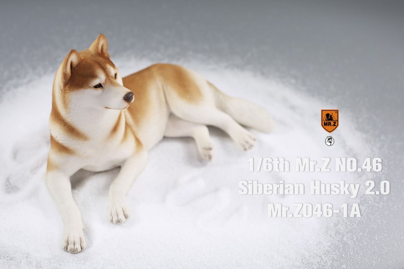 MR. Z Animal Model No.46: 1/6th Siberian Husky2.0