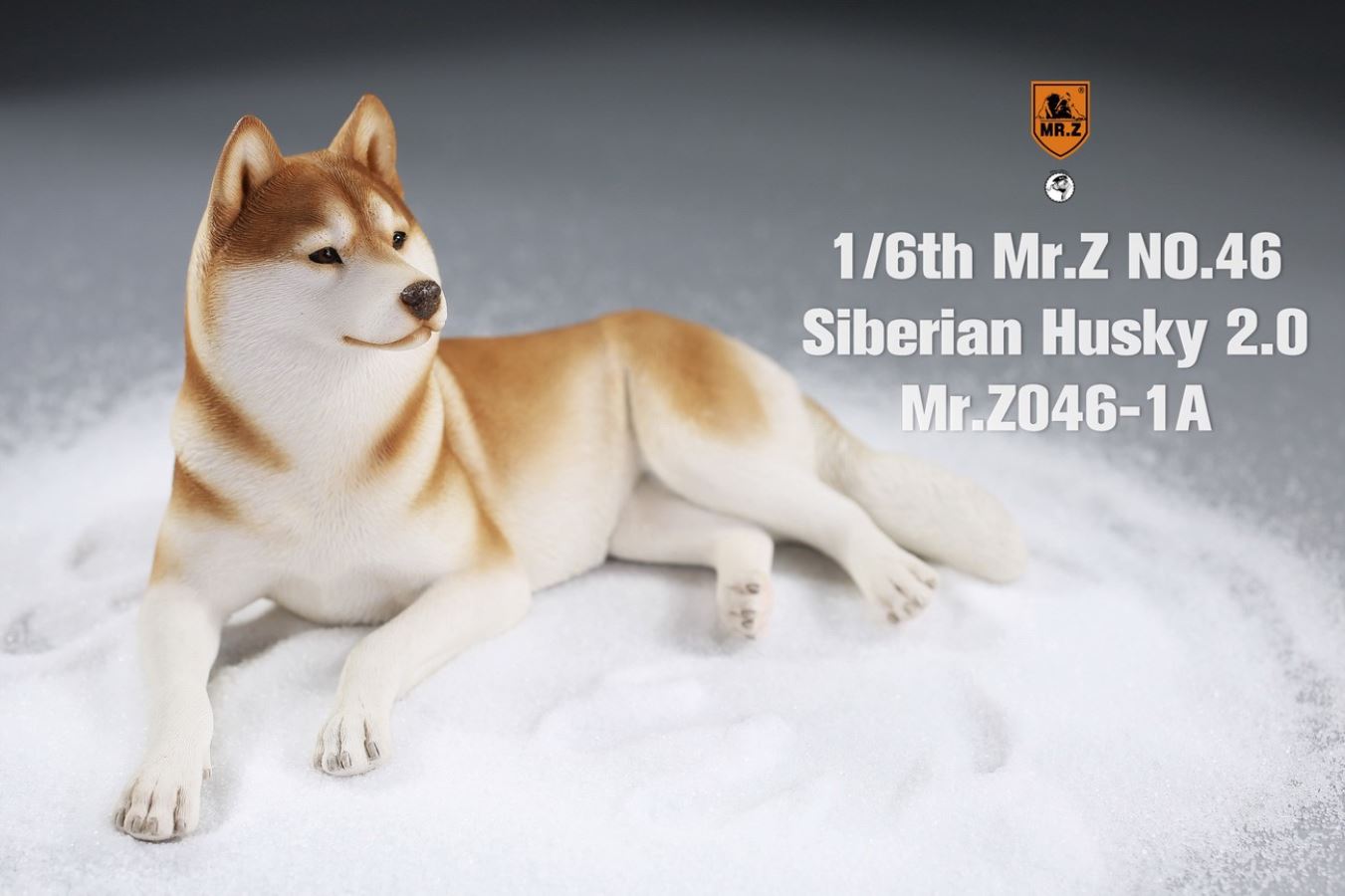 MR. Z Animal Model No.46: 1/6th Siberian Husky2.0