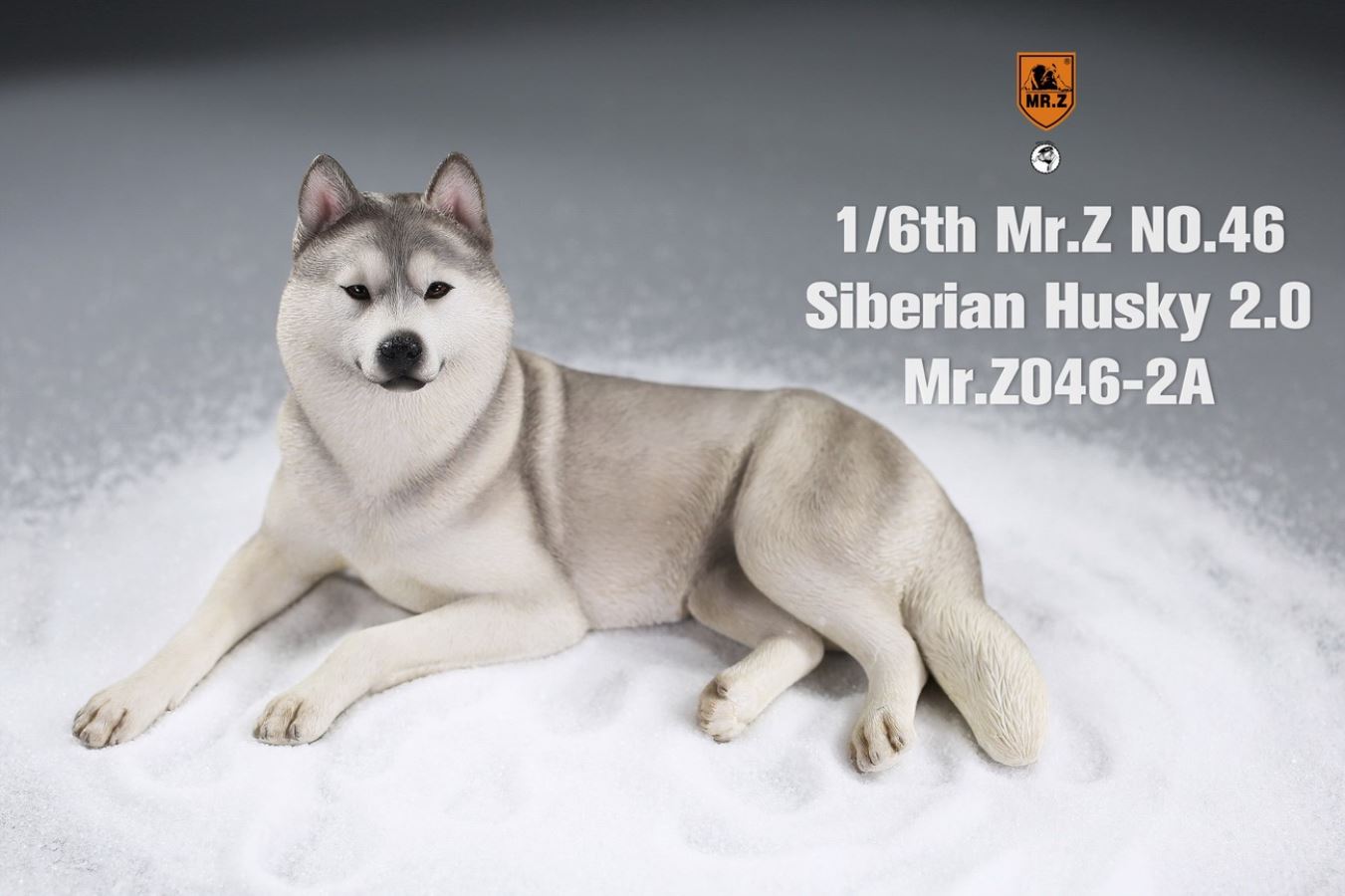 MR. Z Animal Model No.46: 1/6th Siberian Husky2.0