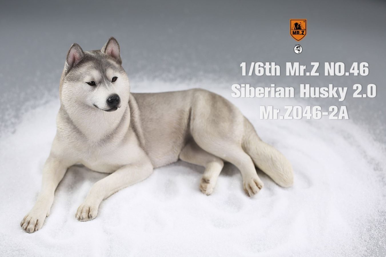 MR. Z Animal Model No.46: 1/6th Siberian Husky2.0