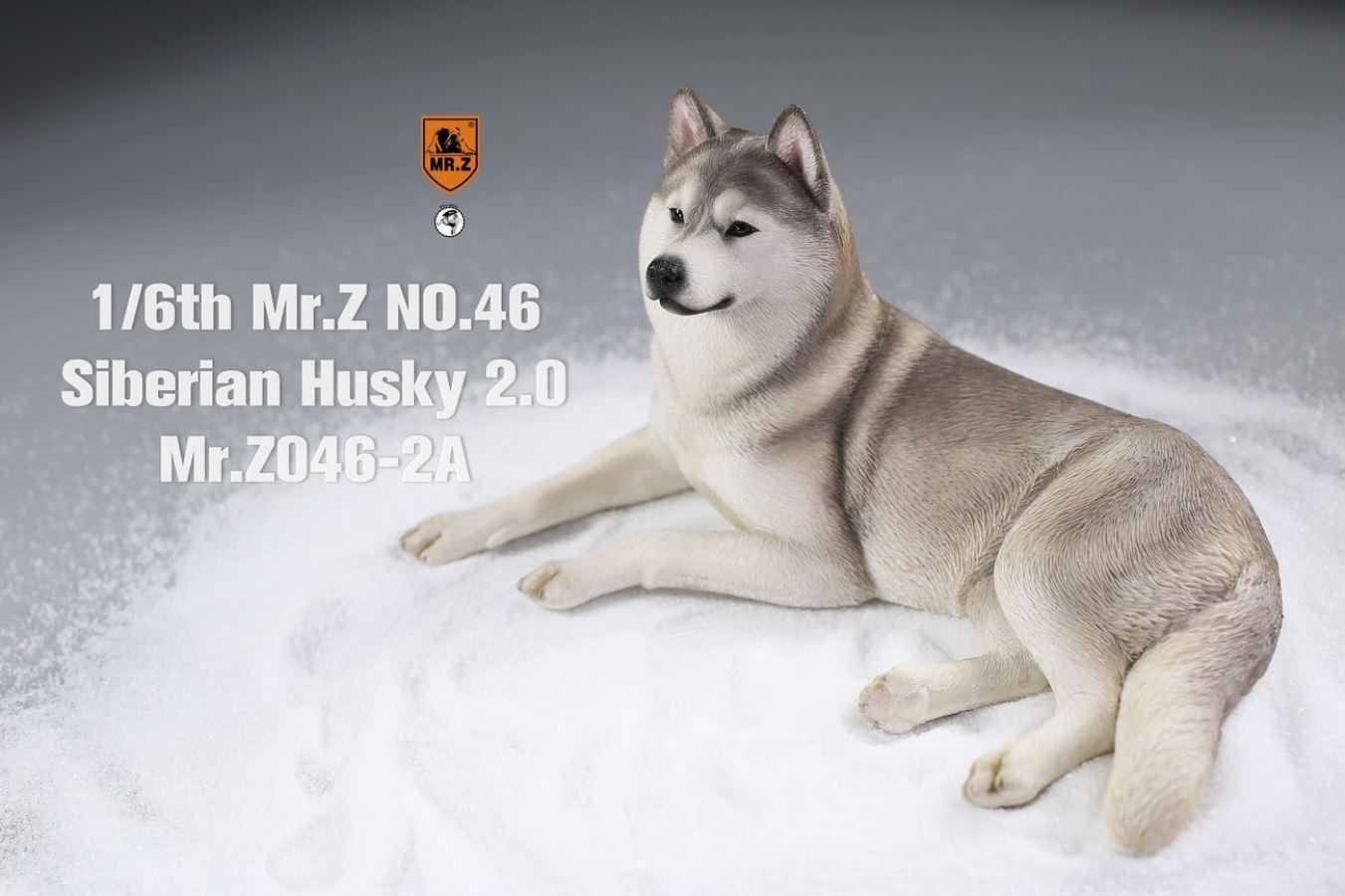 MR. Z Animal Model No.46: 1/6th Siberian Husky2.0