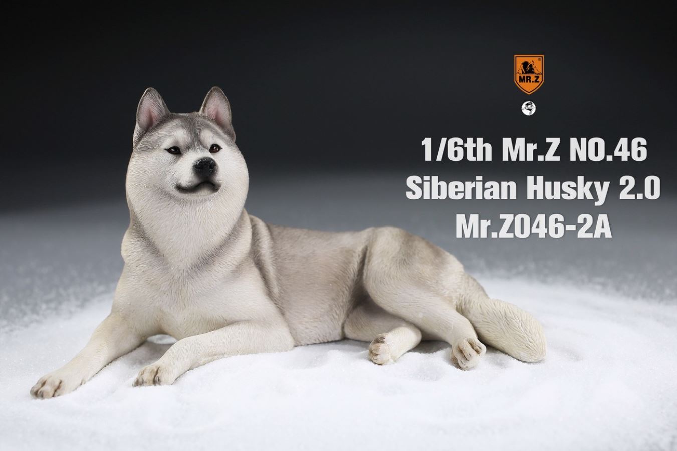 MR. Z Animal Model No.46: 1/6th Siberian Husky2.0