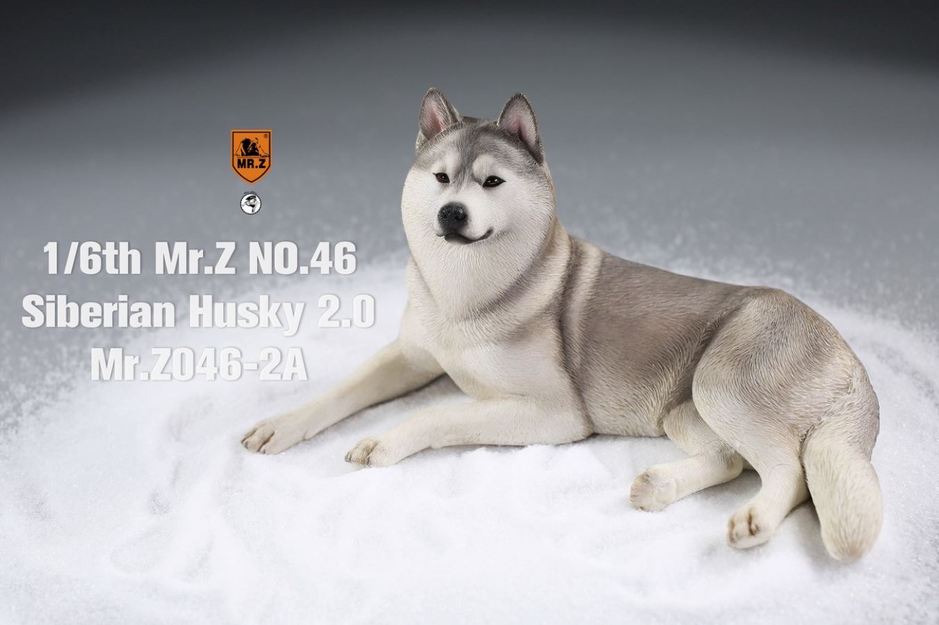 MR. Z Animal Model No.46: 1/6th Siberian Husky2.0