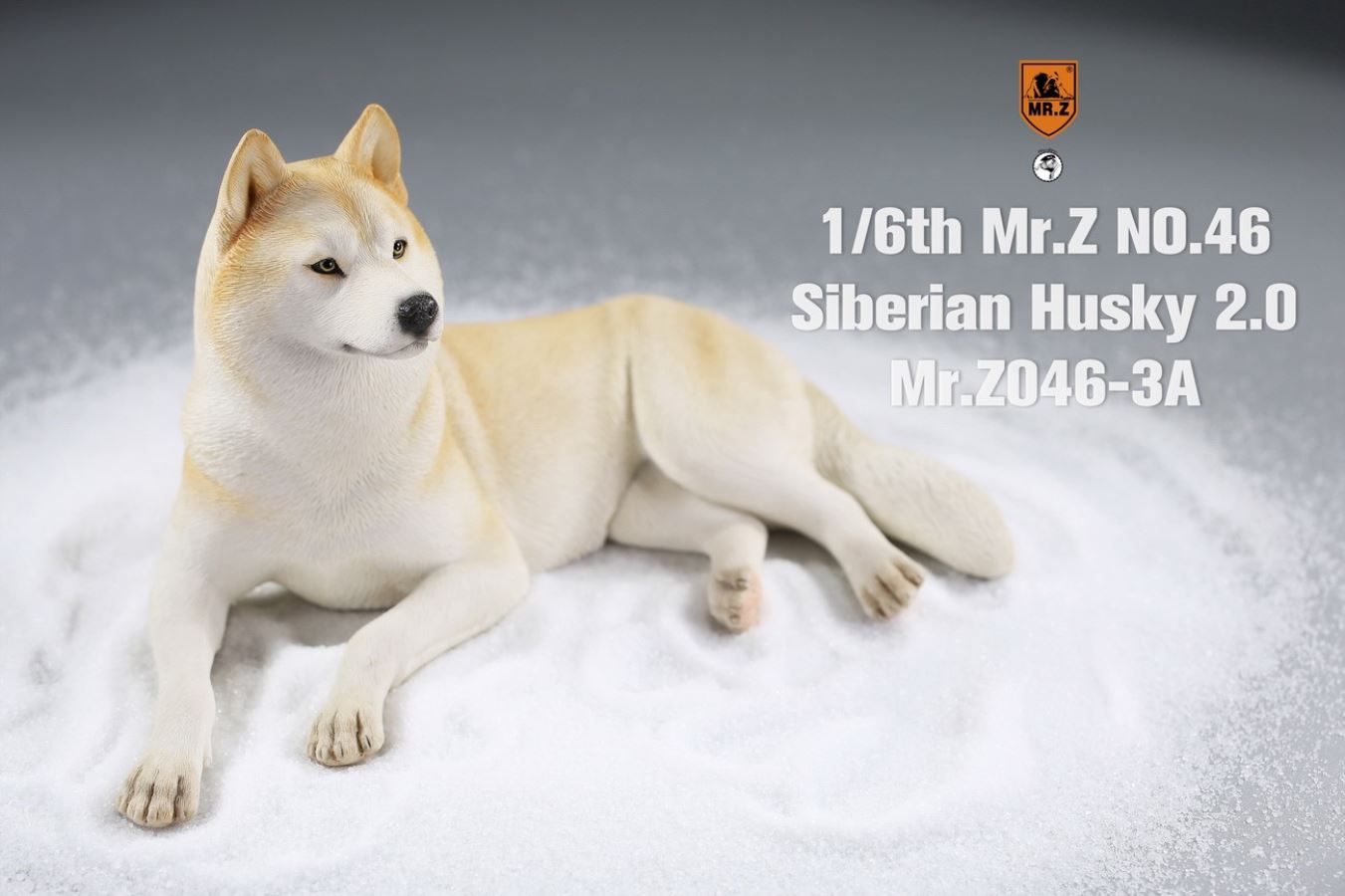 MR. Z Animal Model No.46: 1/6th Siberian Husky2.0
