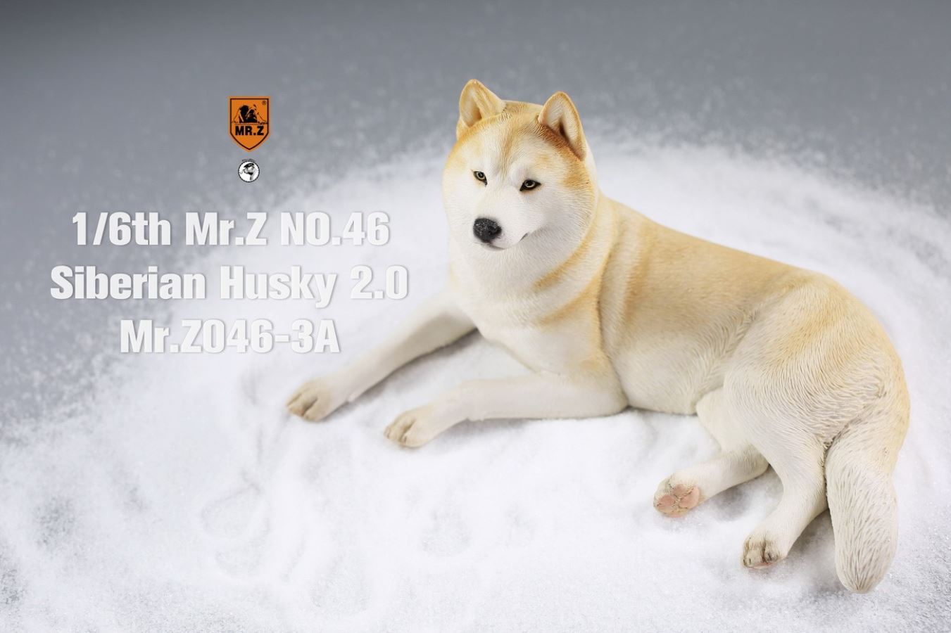 MR. Z Animal Model No.46: 1/6th Siberian Husky2.0