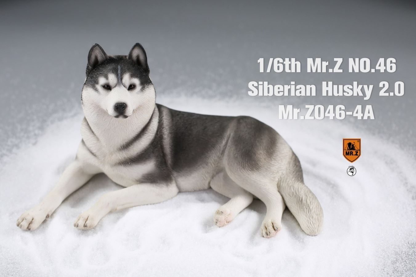 MR. Z Animal Model No.46: 1/6th Siberian Husky2.0