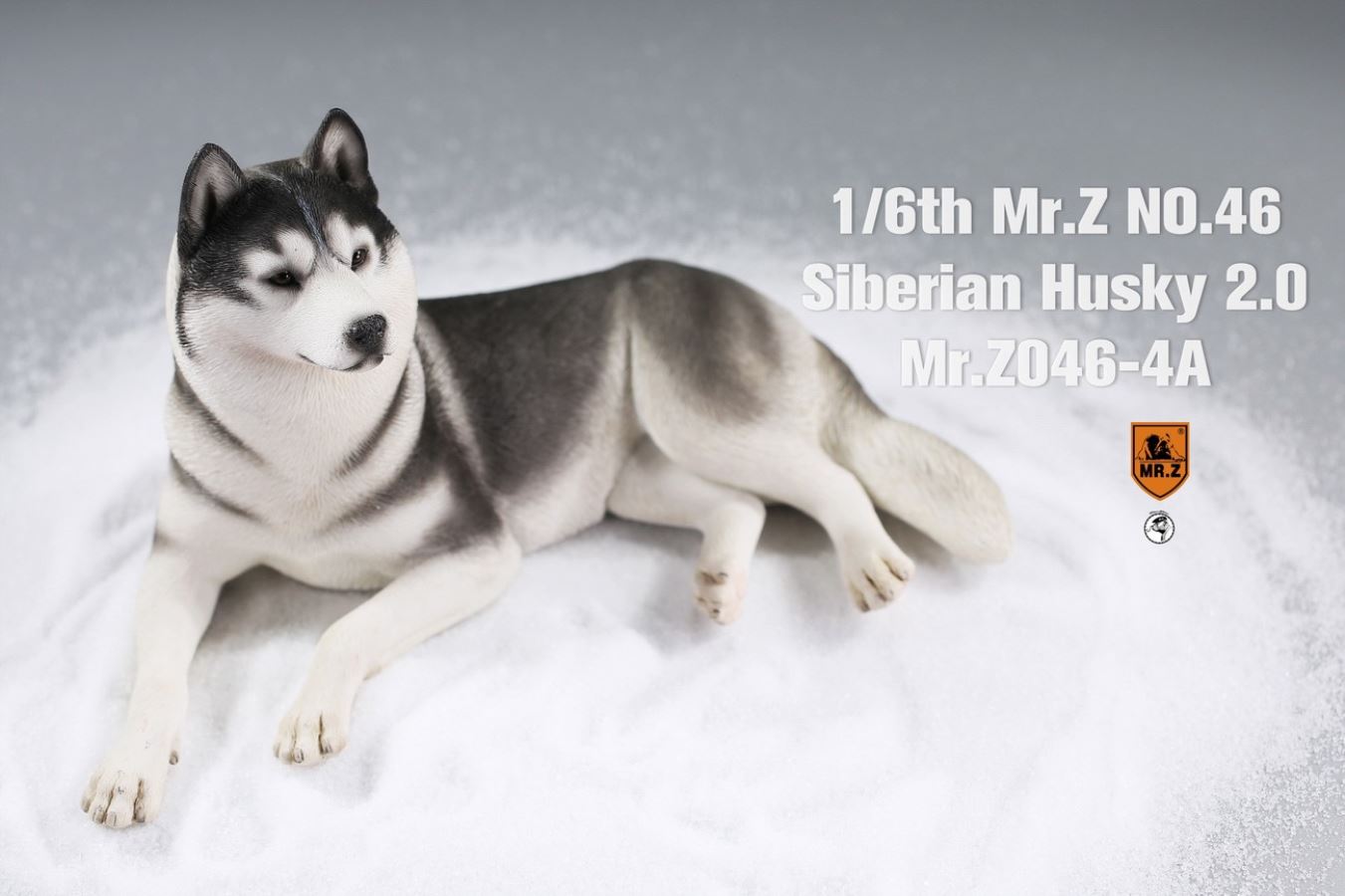MR. Z Animal Model No.46: 1/6th Siberian Husky2.0