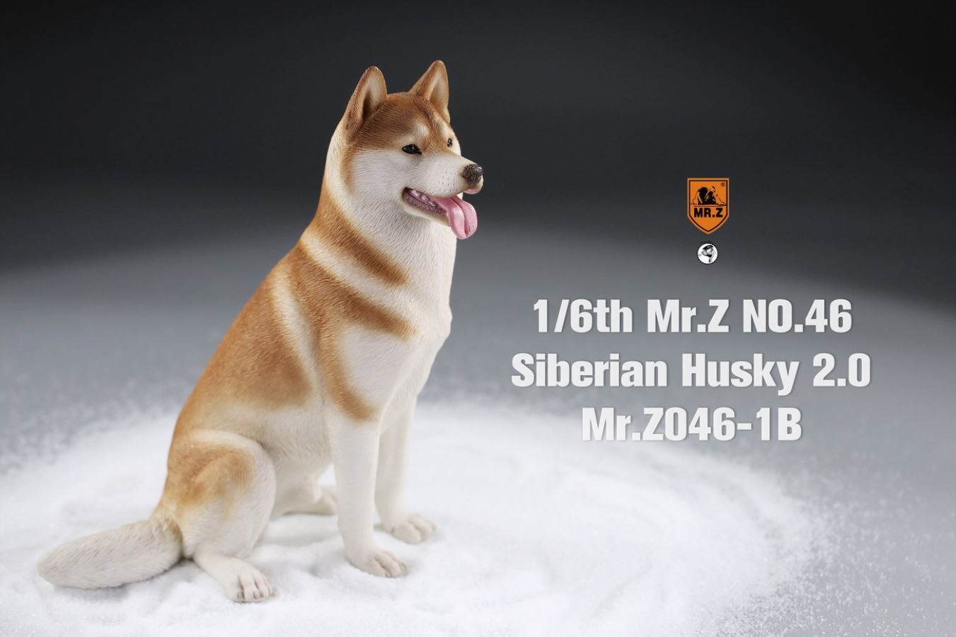 MR. Z Animal Model No.46: 1/6th Siberian Husky2.0