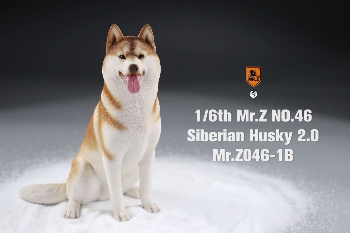 MR. Z Animal Model No.46: 1/6th Siberian Husky2.0