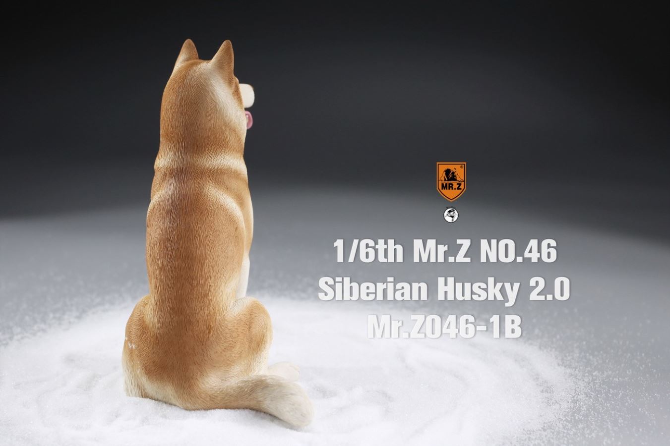 MR. Z Animal Model No.46: 1/6th Siberian Husky2.0