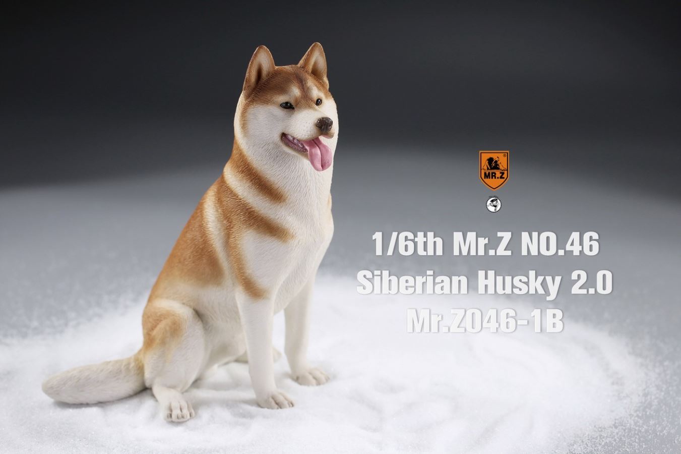 MR. Z Animal Model No.46: 1/6th Siberian Husky2.0