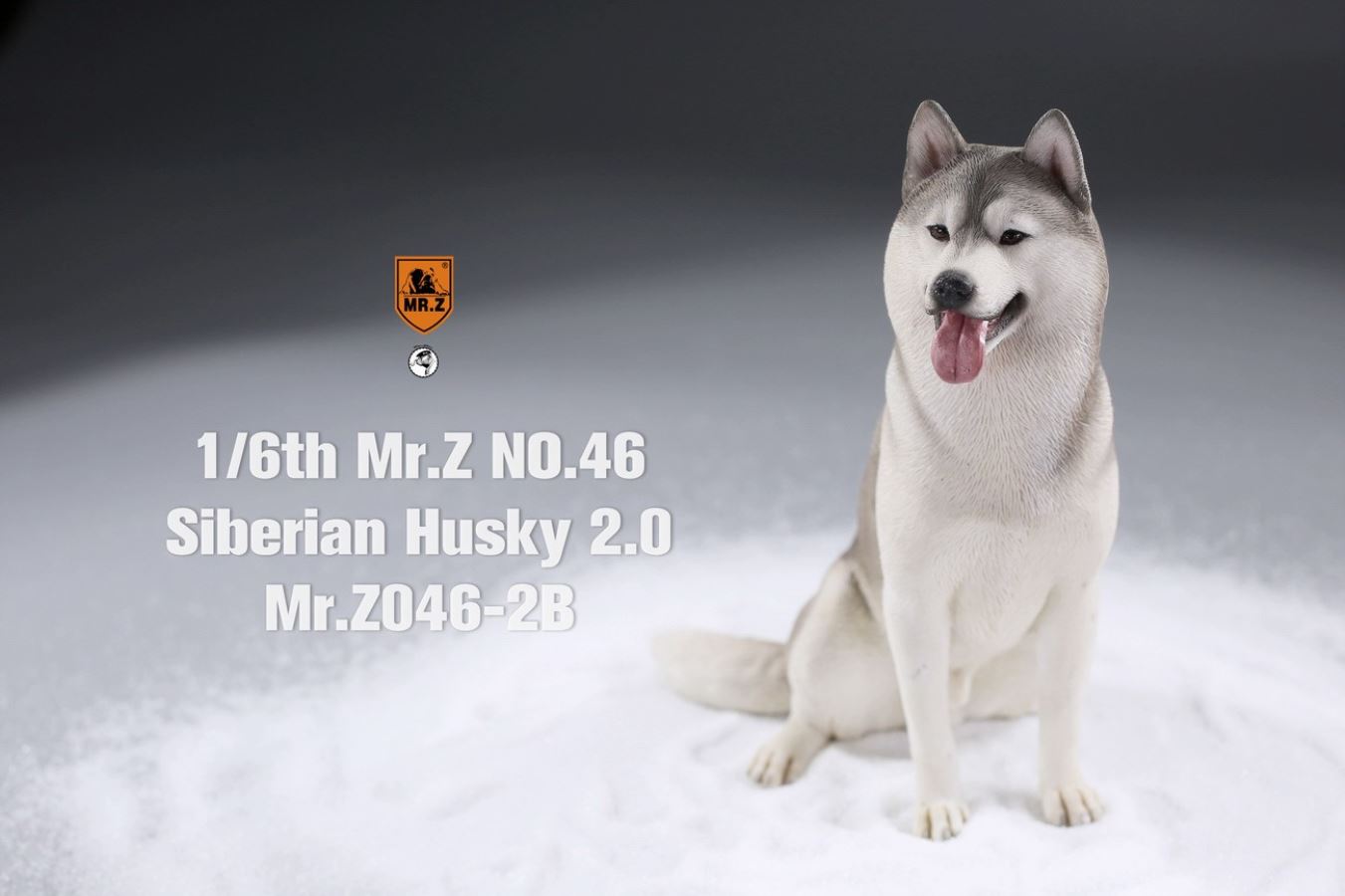 MR. Z Animal Model No.46: 1/6th Siberian Husky2.0
