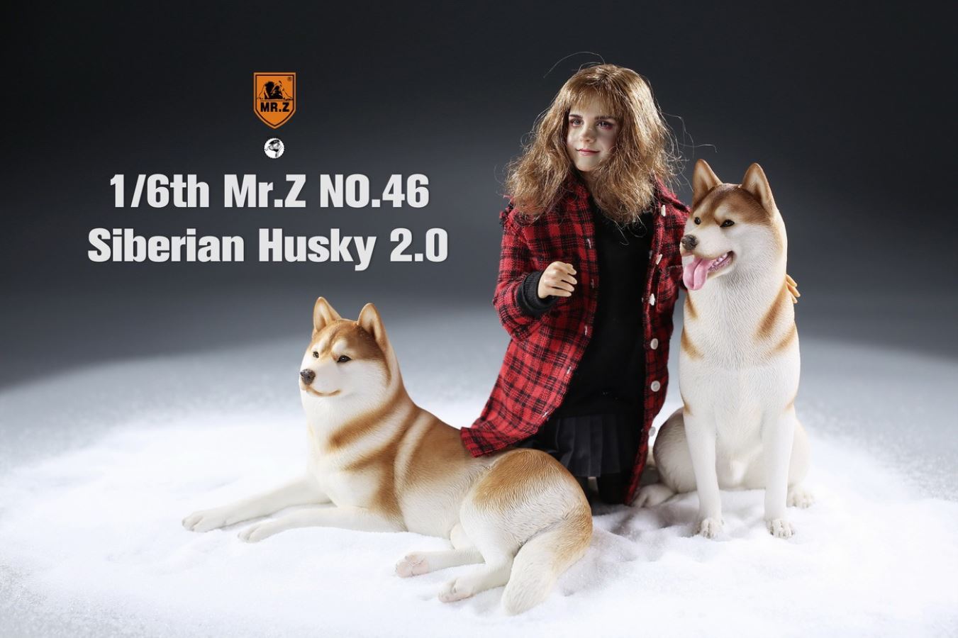 MR. Z Animal Model No.46: 1/6th Siberian Husky2.0