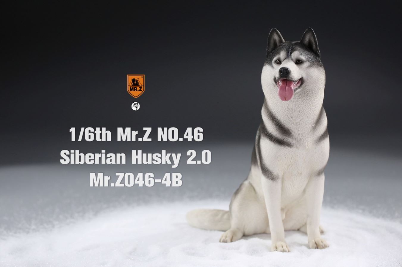 MR. Z Animal Model No.46: 1/6th Siberian Husky2.0