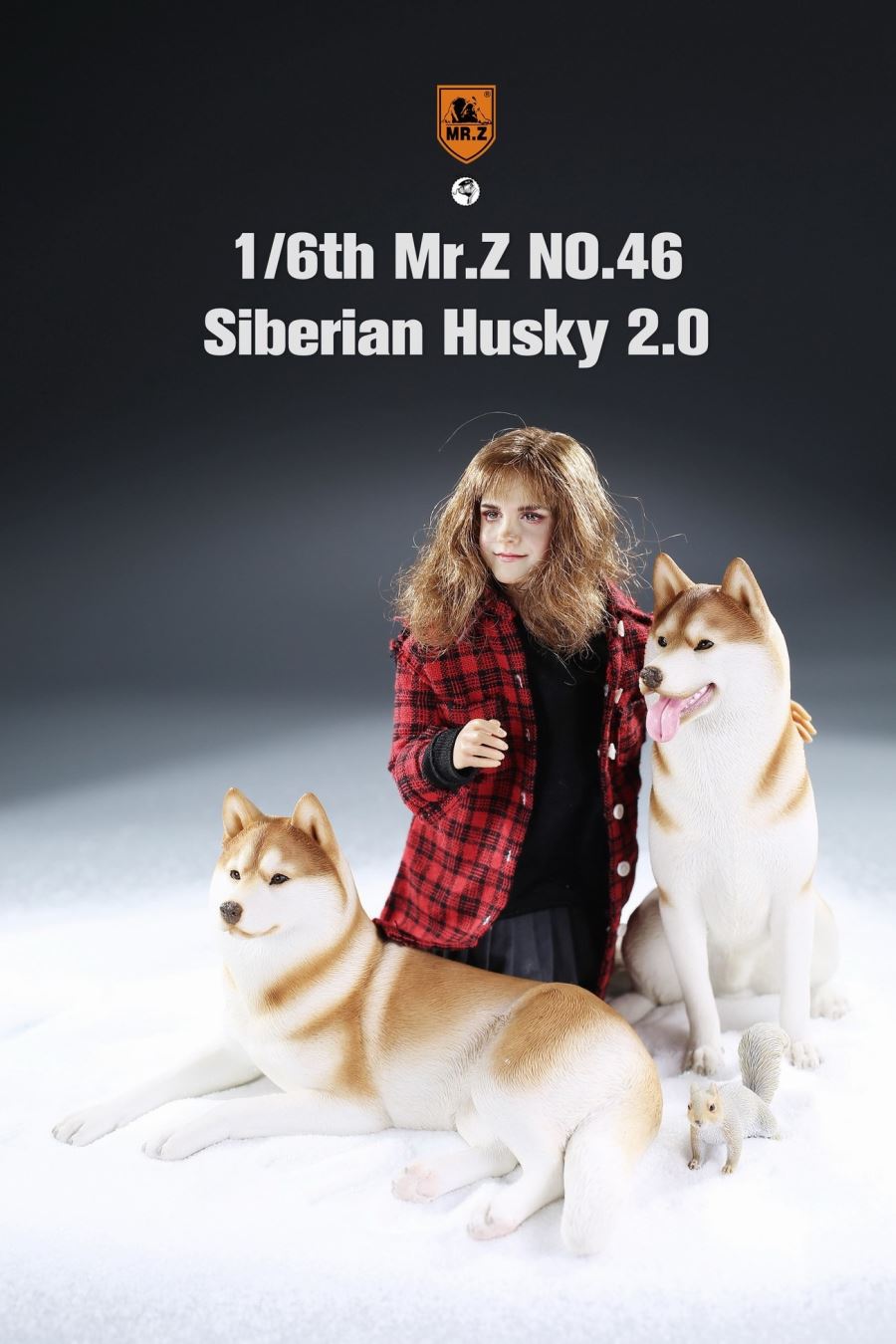 MR. Z Animal Model No.46: 1/6th Siberian Husky2.0