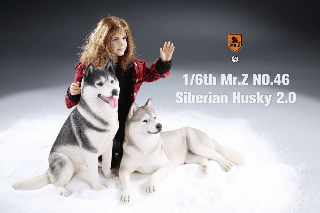 MR. Z Animal Model No.46: 1/6th Siberian Husky2.0