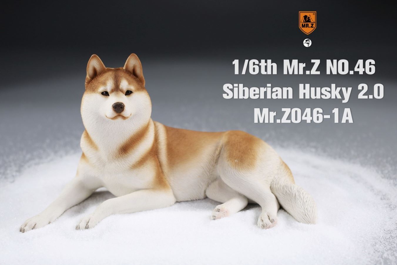 MR. Z Animal Model No.46: 1/6th Siberian Husky2.0