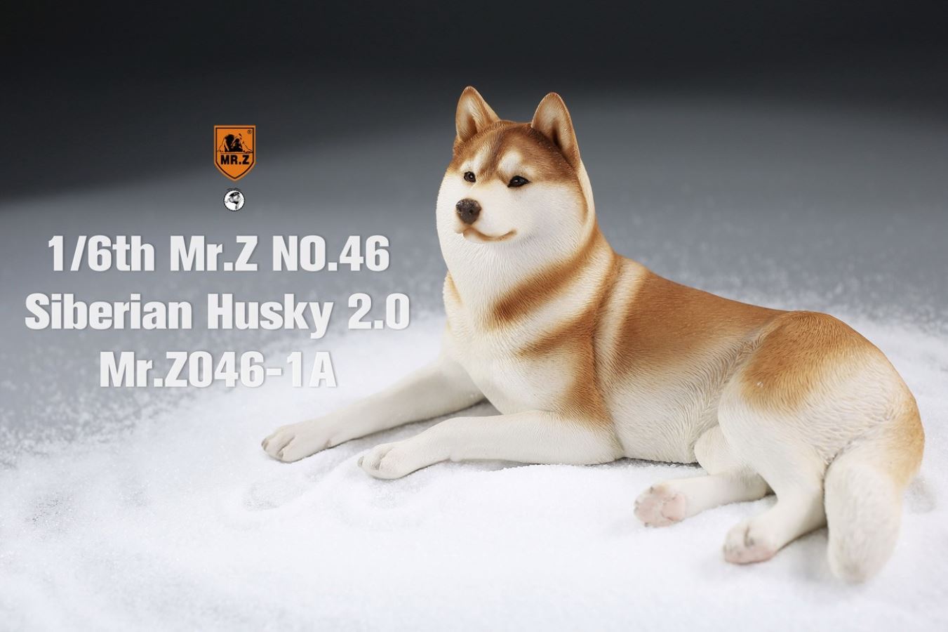 MR. Z Animal Model No.46: 1/6th Siberian Husky2.0