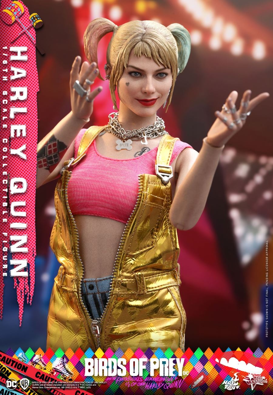 BIRDS OF PREY Harley Quinn 1/6TH Scale Collectible Figure