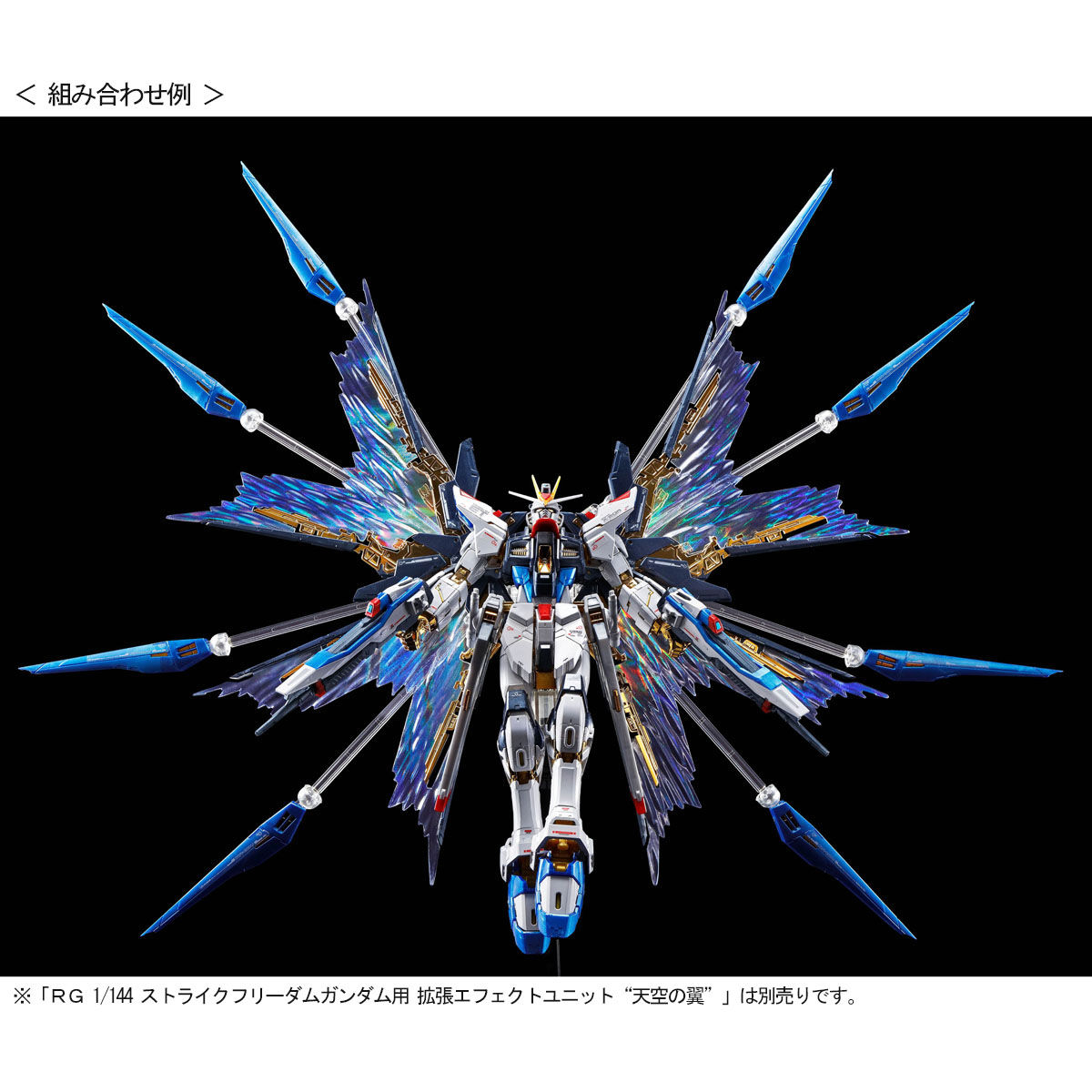 Mobile Suit Gundam SEED Destiny -RG 1/144 Strike Freedom Gundam [Titanium Finish]