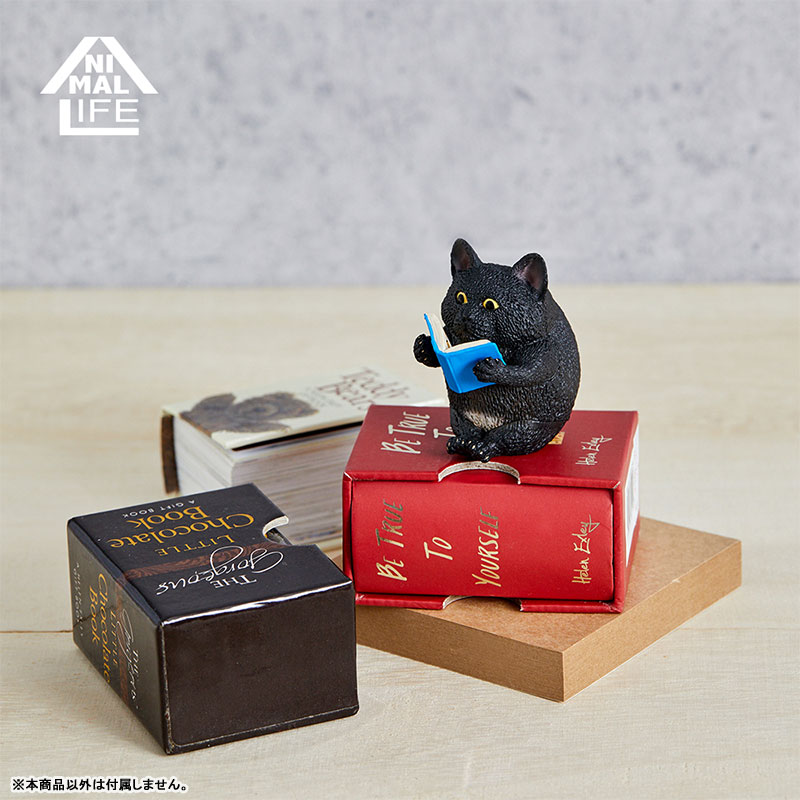 ANIMAL LIFE - Chubby Series - TOSHIO ASAKUMA x FUMEANCATS 8Pack BOX