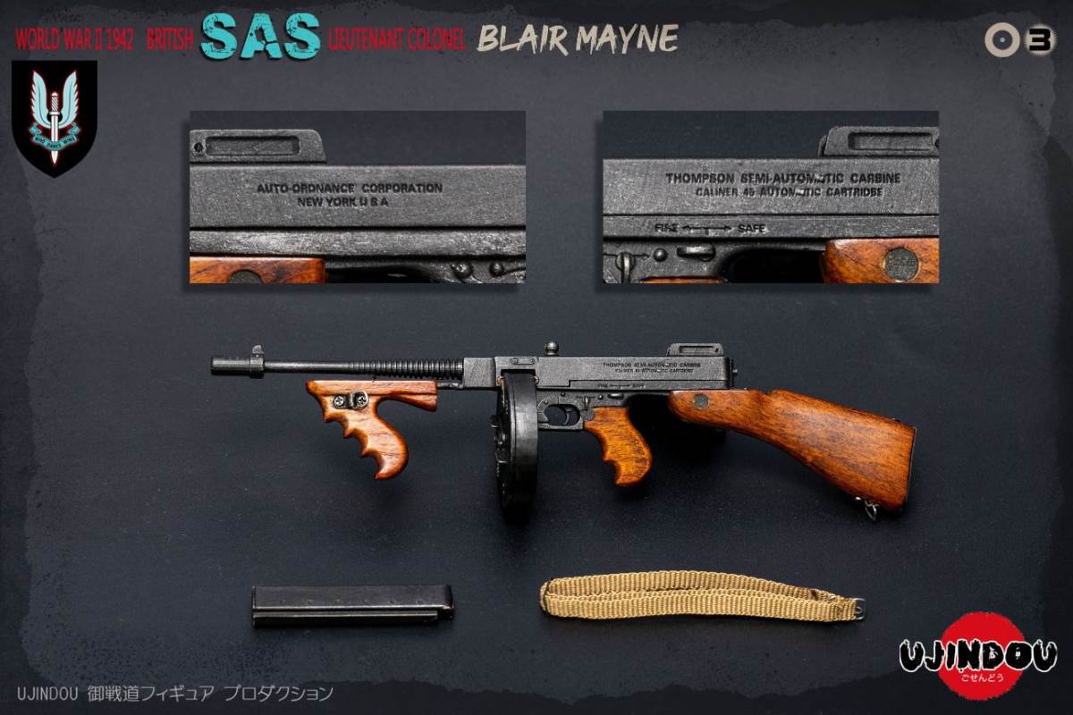 1/6 Royal Special Air Service Regiment SAS of WWII-Paddy Mayne Army Lieutenant Colonel