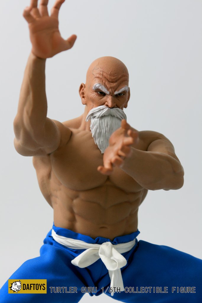 1/6 Turtler Guru