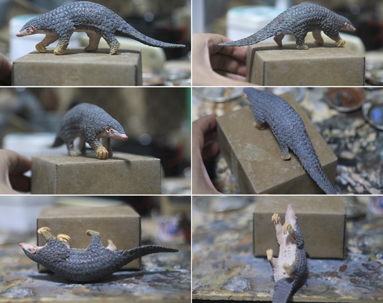 Animal GK model 1/6 Chinese pangolin