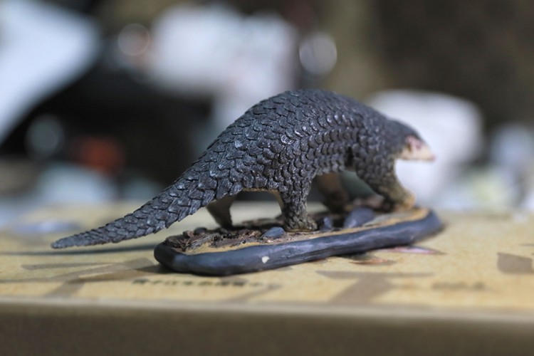 Animal GK model 1/6 Chinese pangolin