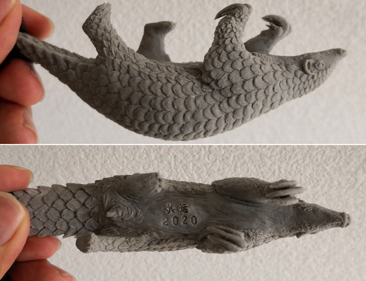 Animal GK model 1/6 Chinese pangolin