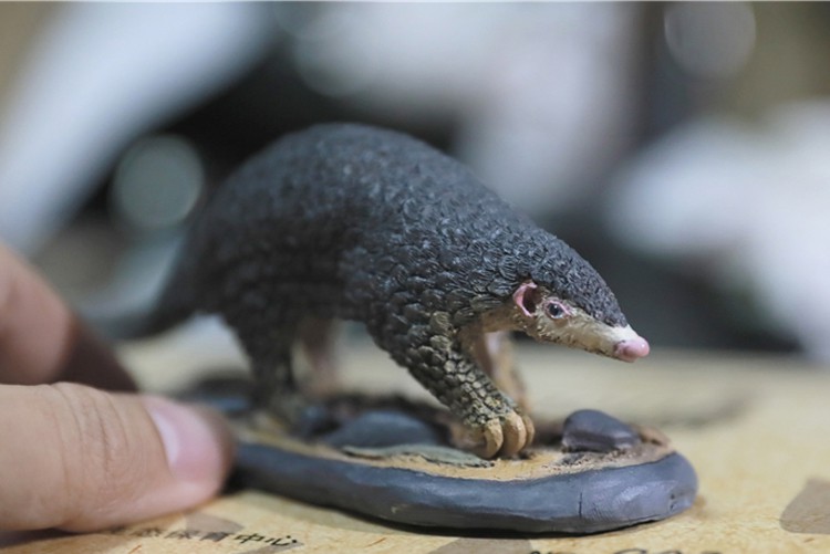 Animal GK model 1/6 Chinese pangolin