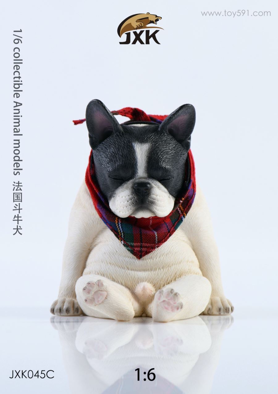 French bulldog