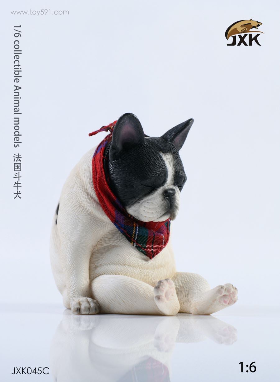 French bulldog
