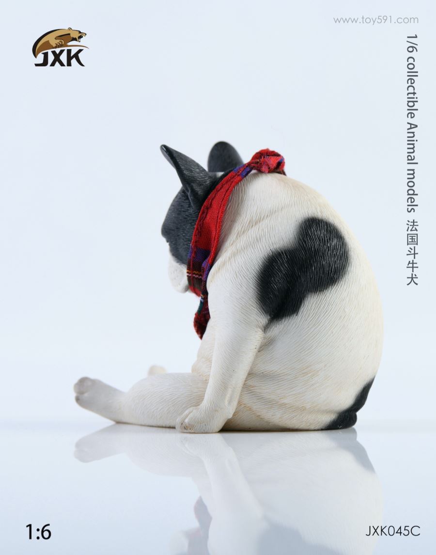 French bulldog